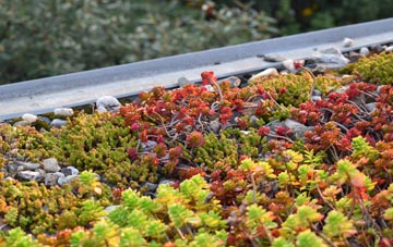 the cost of Scadabhagh green roof installation